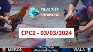 Đá gà thomo CPC2 ngày 03/03/2024