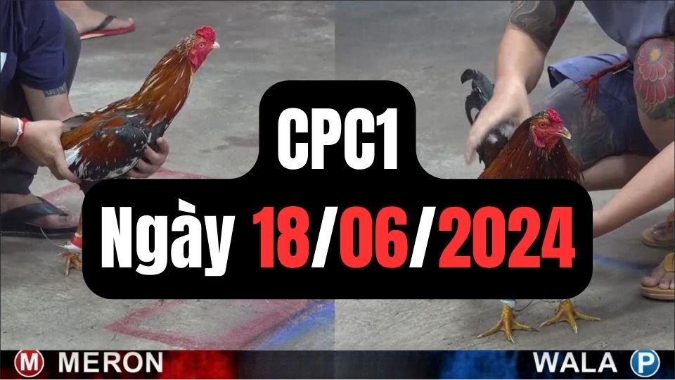 Đá gà thomo CPC1 ngày 18/06/2024