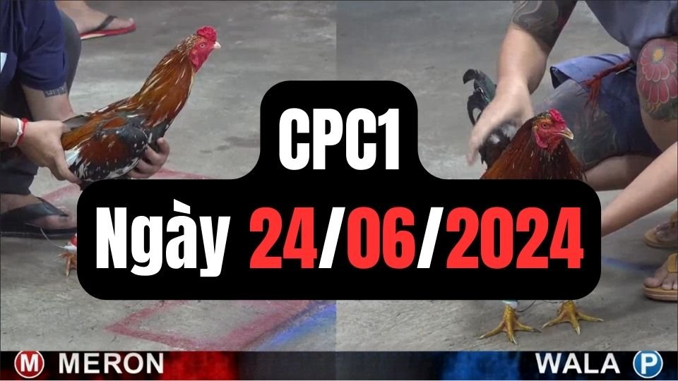 Đá gà thomo CPC1 ngày 24/06/2024