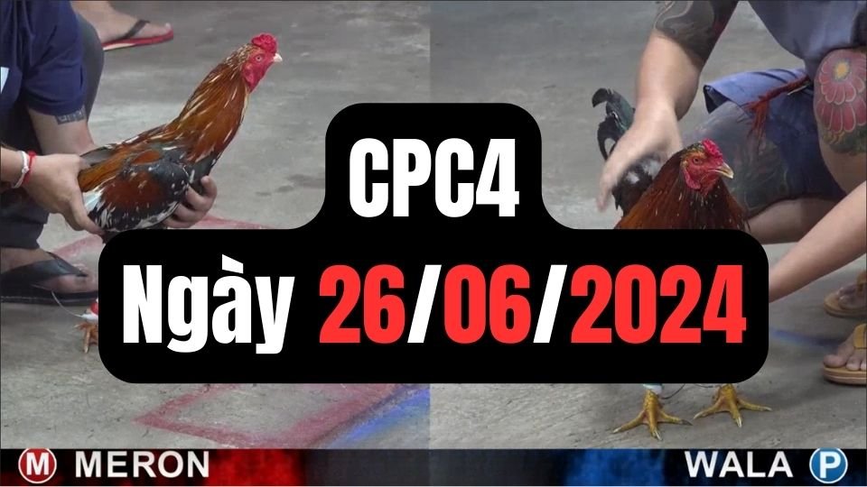 Đá gà thomo CPC4 ngày 26/06/2024