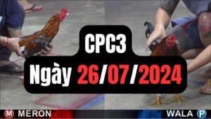 Đá gà thomo CPC3 ngày 26/07/2024